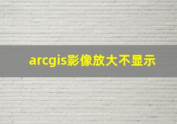 arcgis影像放大不显示