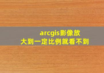 arcgis影像放大到一定比例就看不到