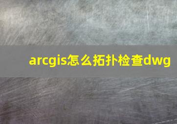 arcgis怎么拓扑检查dwg