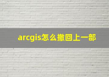 arcgis怎么撤回上一部