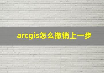 arcgis怎么撤销上一步