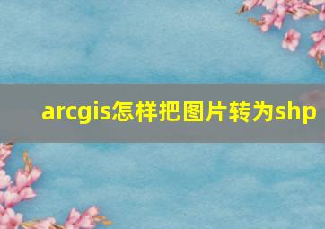 arcgis怎样把图片转为shp