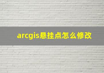 arcgis悬挂点怎么修改