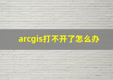 arcgis打不开了怎么办