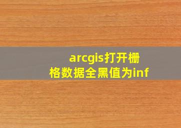 arcgis打开栅格数据全黑值为inf