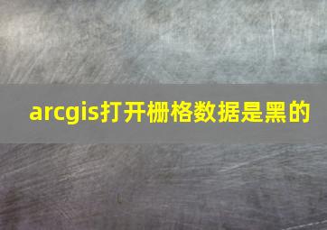 arcgis打开栅格数据是黑的