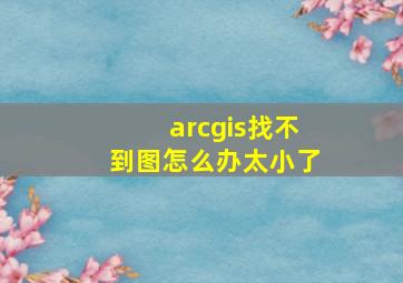 arcgis找不到图怎么办太小了