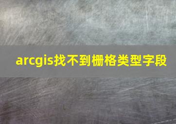 arcgis找不到栅格类型字段