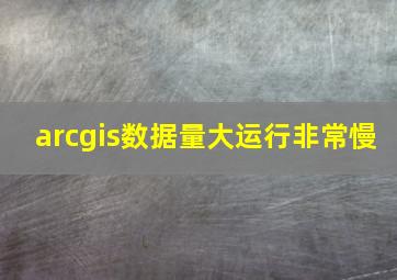 arcgis数据量大运行非常慢