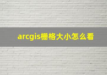 arcgis栅格大小怎么看