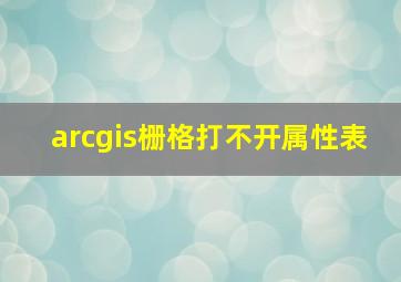 arcgis栅格打不开属性表