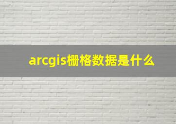 arcgis栅格数据是什么