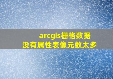 arcgis栅格数据没有属性表像元数太多