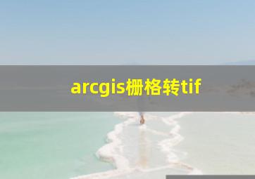 arcgis栅格转tif