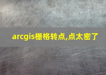 arcgis栅格转点,点太密了