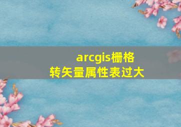 arcgis栅格转矢量属性表过大