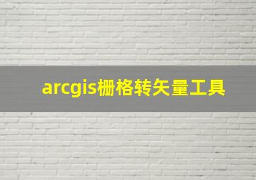 arcgis栅格转矢量工具