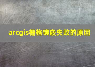 arcgis栅格镶嵌失败的原因