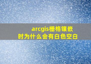 arcgis栅格镶嵌时为什么会有白色空白