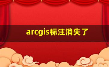 arcgis标注消失了