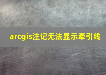 arcgis注记无法显示牵引线