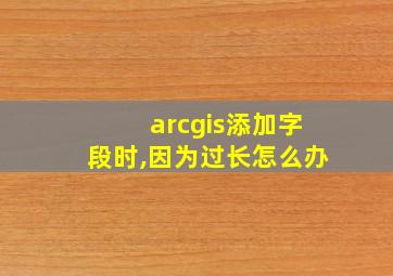 arcgis添加字段时,因为过长怎么办