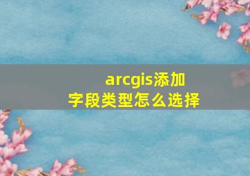 arcgis添加字段类型怎么选择