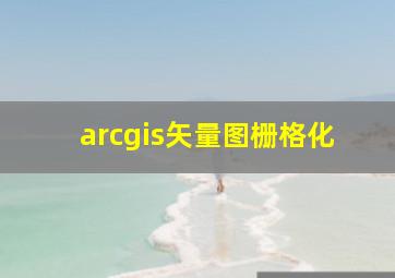 arcgis矢量图栅格化