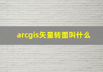 arcgis矢量转面叫什么