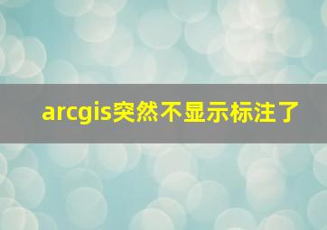 arcgis突然不显示标注了