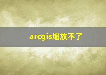 arcgis缩放不了