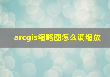 arcgis缩略图怎么调缩放