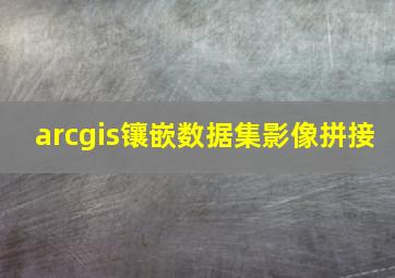 arcgis镶嵌数据集影像拼接