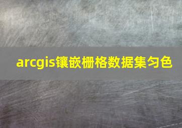 arcgis镶嵌栅格数据集匀色