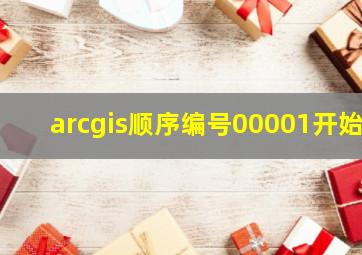 arcgis顺序编号00001开始