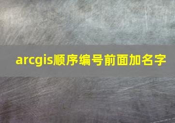 arcgis顺序编号前面加名字