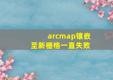 arcmap镶嵌至新栅格一直失败