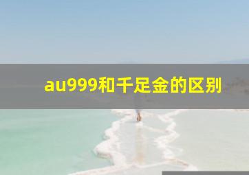 au999和千足金的区别