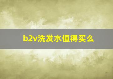 b2v洗发水值得买么