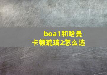 boa1和哈曼卡顿琉璃2怎么选