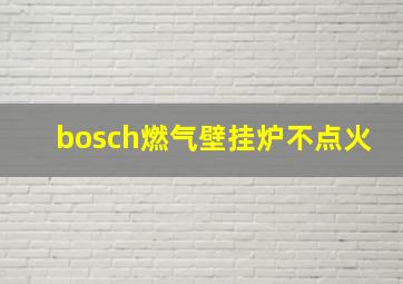 bosch燃气壁挂炉不点火