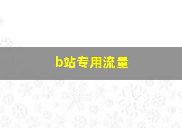 b站专用流量