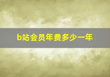 b站会员年费多少一年