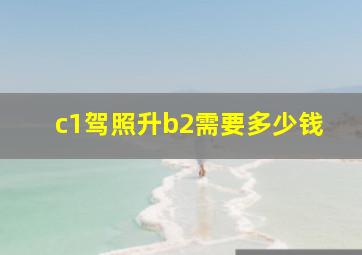 c1驾照升b2需要多少钱