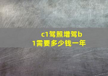 c1驾照增驾b1需要多少钱一年