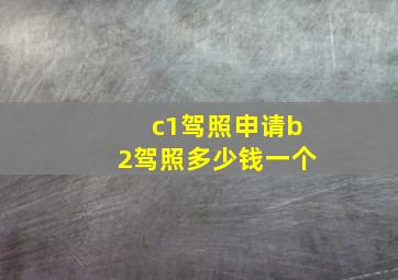 c1驾照申请b2驾照多少钱一个