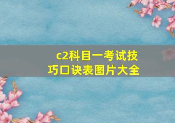 c2科目一考试技巧口诀表图片大全