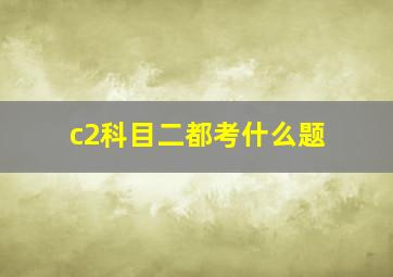 c2科目二都考什么题