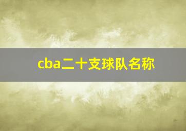 cba二十支球队名称