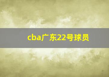 cba广东22号球员